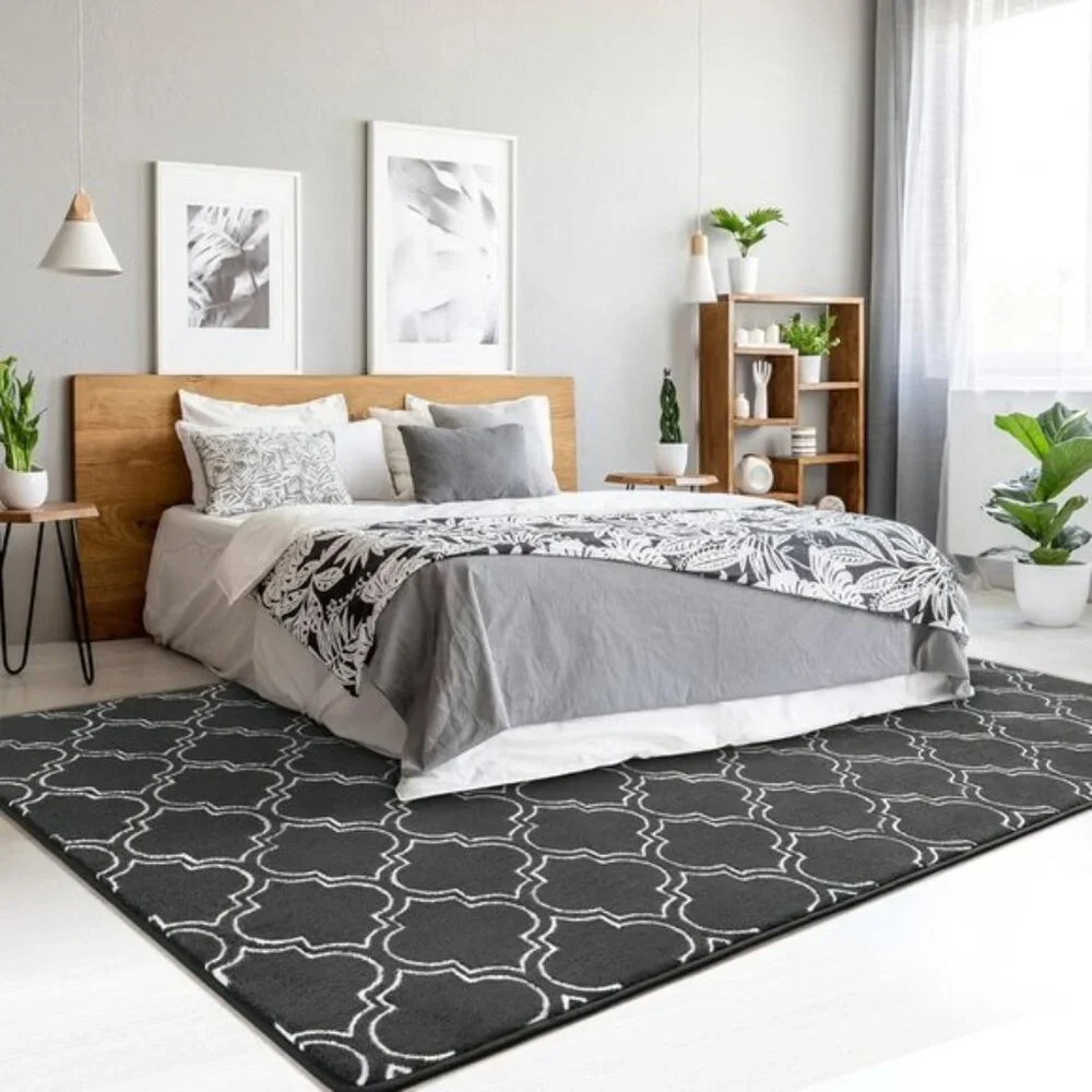 New 4x6 Shag Geometric Area Rug, Memory Foam, Fluffy Carpet for Home, Room Decor